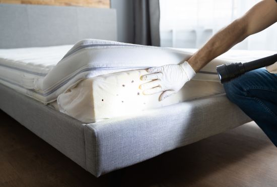 Bed Bug Removal